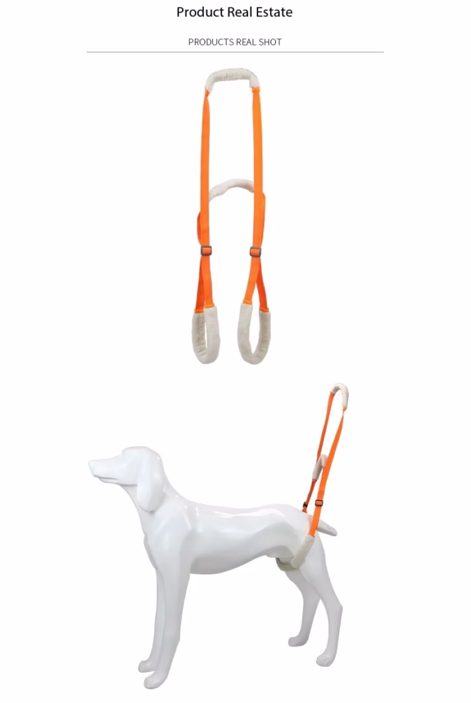 soporte patas perros