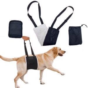 Faja o soporte para mascota